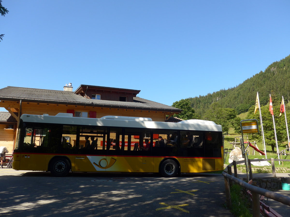 (182'332) - AVG Meiringen - Nr. 67/BE 402'467 - Scania/Hess (ex Nr. 76; ex Steiner, Messen) am 30. Juli 2017 auf der Schwarzwaldalp