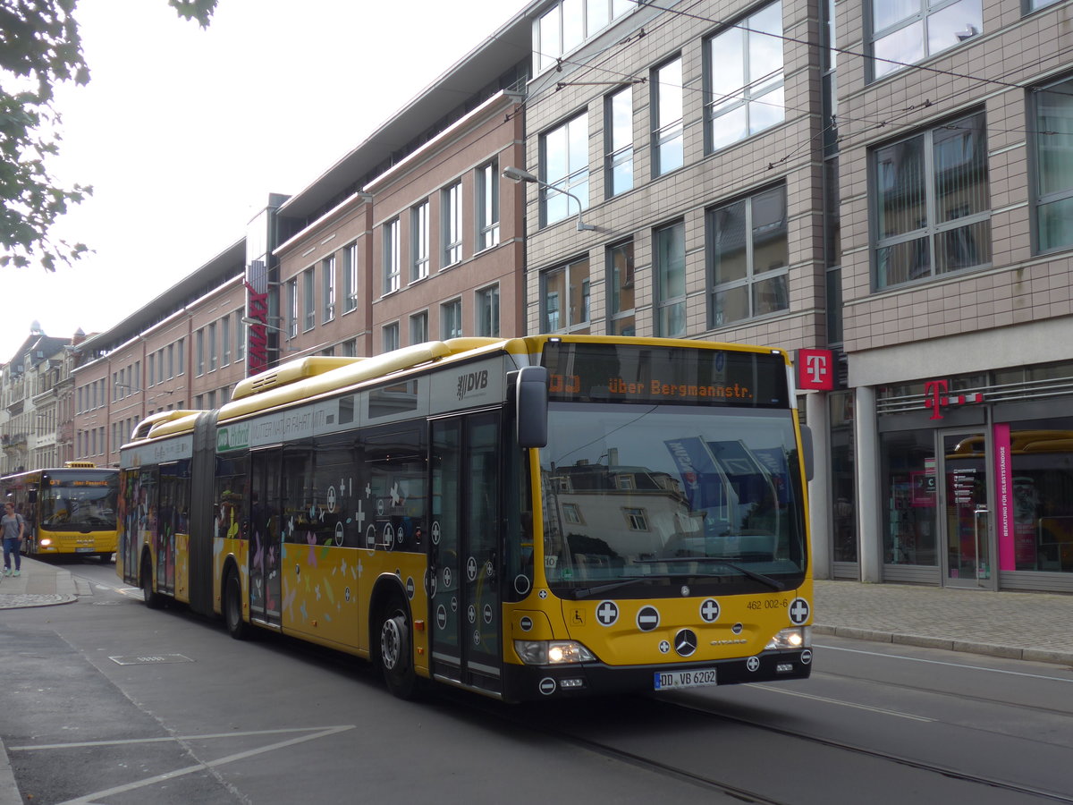 (183'156) - DVB Dresden - Nr. 462'002/DD-VB 6202 - Mercedes am 9. August 2017 in Dresden, Schillerplatz