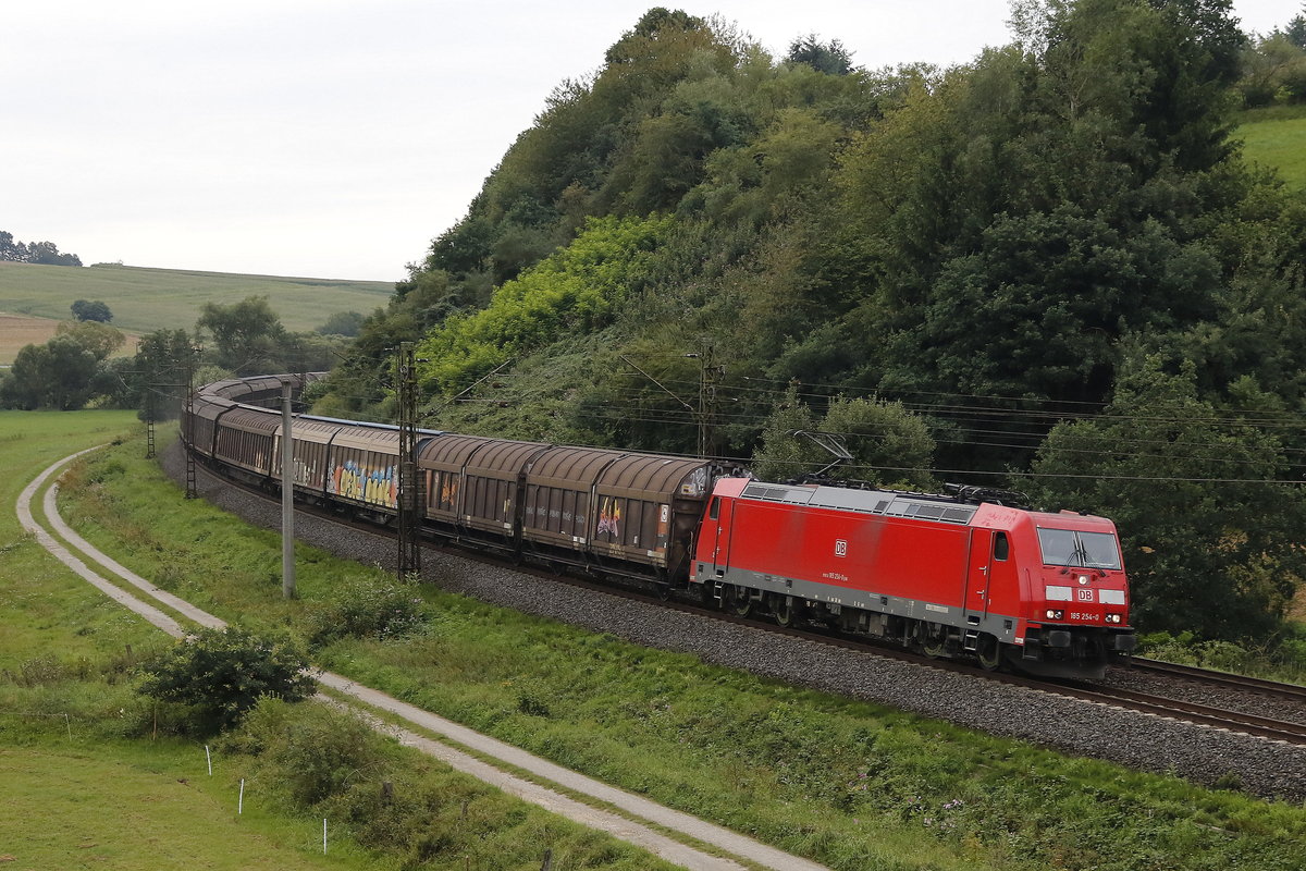 185 254-0 mit einem Gterzug am 10. August 2017 bei Hermannspiegel.