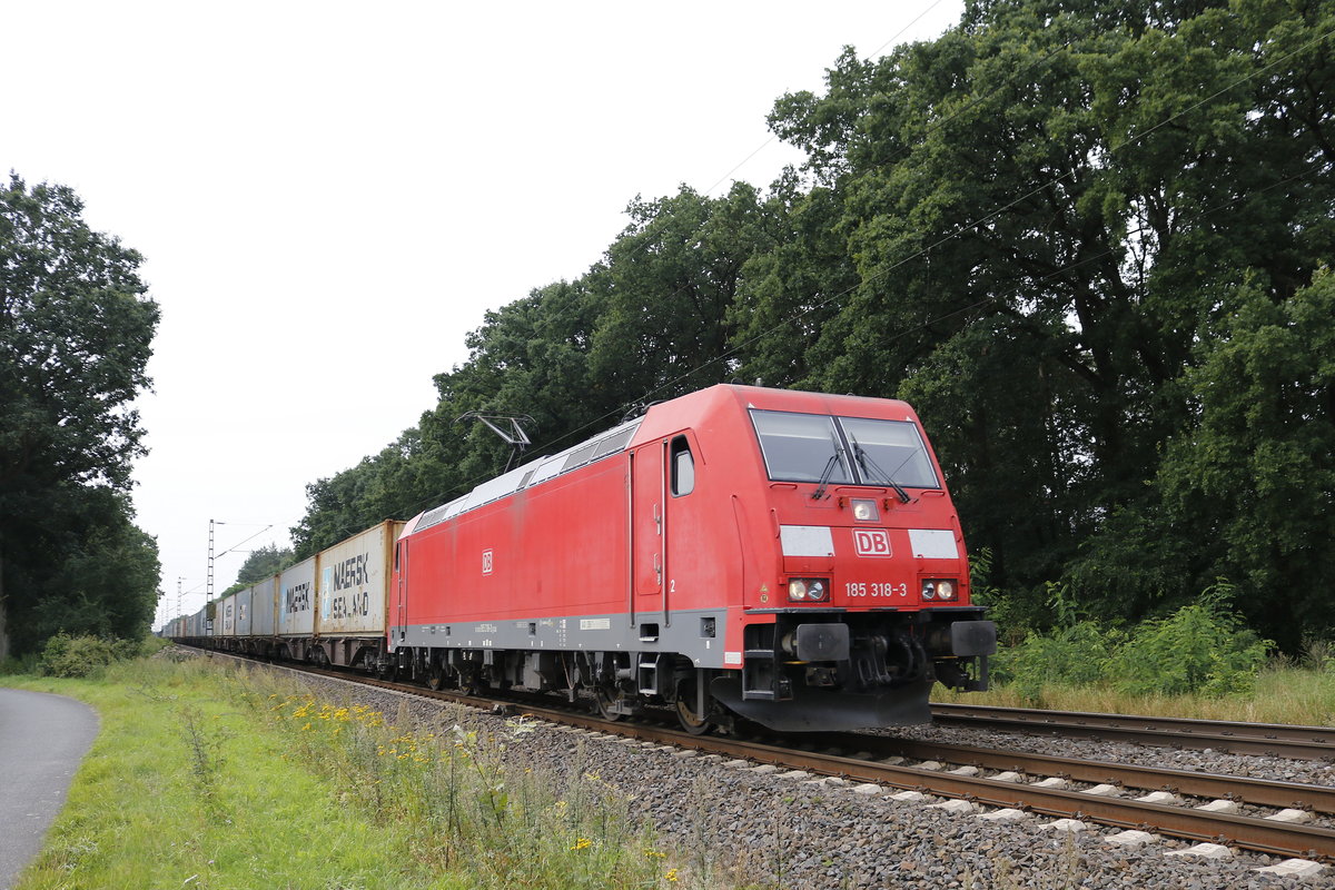 185 318-3 am 17. August 2017 bei Drverden mit einem Containerzug.