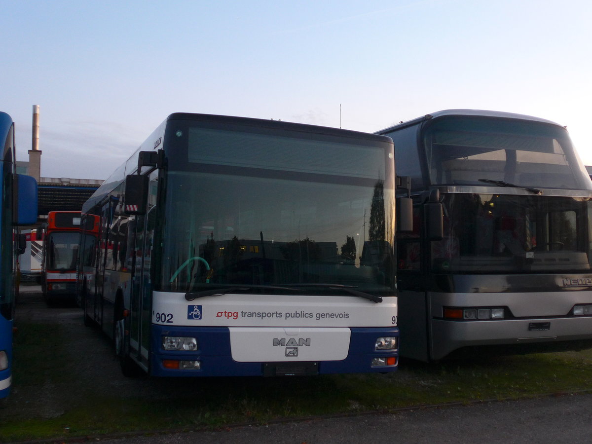 (185'974) - Globe-Limo, Genve - Nr. 902 - MAN am 19. Oktober 2017 in Frauenfeld, Langdorfstrasse