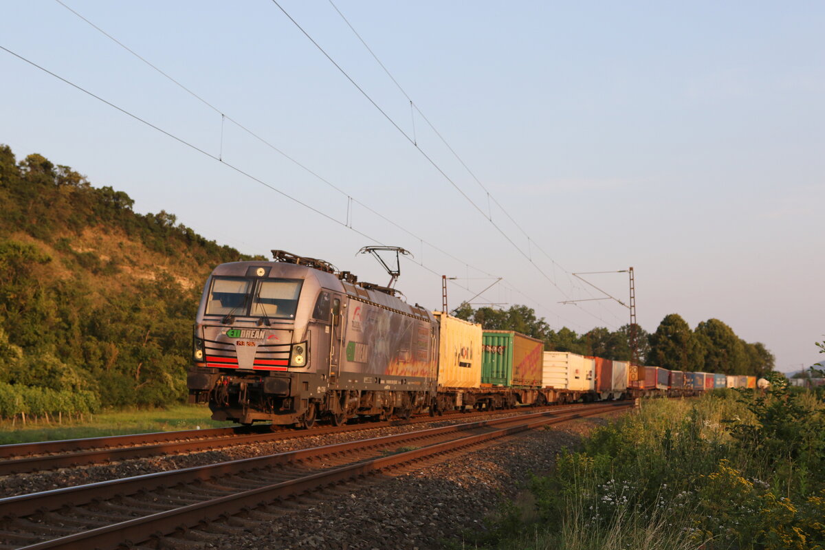 193 282 (ELLOREAN) mit einem  KLV  am 23. Juli 2021 bei Himmelstadt am Main.