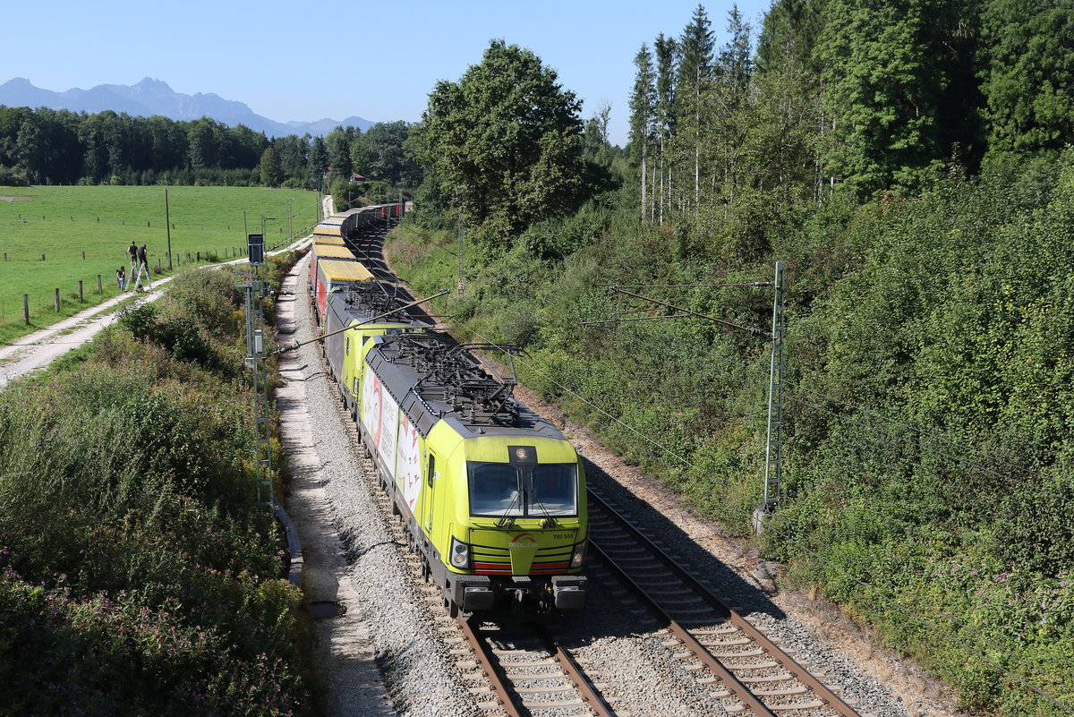 193 550 und 193 xxx waren am 15. September 2019 bei Grabensttt in Richtung Freilassing unterwegs.