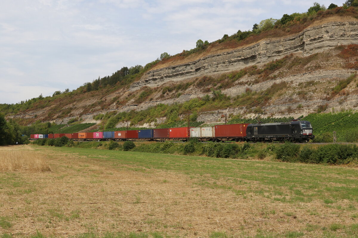 193 872 mit einem Containerzug am 5. August 2022 bei Thngersheim am Main.