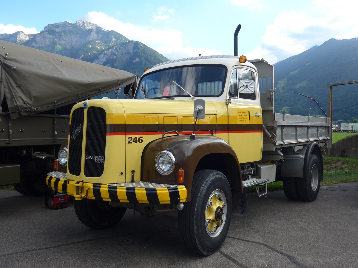 (194'325) - Ammeter, Emdthal - Nr. 246 - Saurer (ex STI Thun Nr. 246; ex STI Thun Nr. 146) am 23. Juni 2018 in Interlaken, Flugplatz