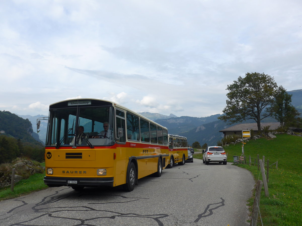 (197'732) - Schmid, Thrishaus - BE 26'206 - Saurer/Tscher (ex P 24'244) am 16. September 2018 in Geissholz, Hori