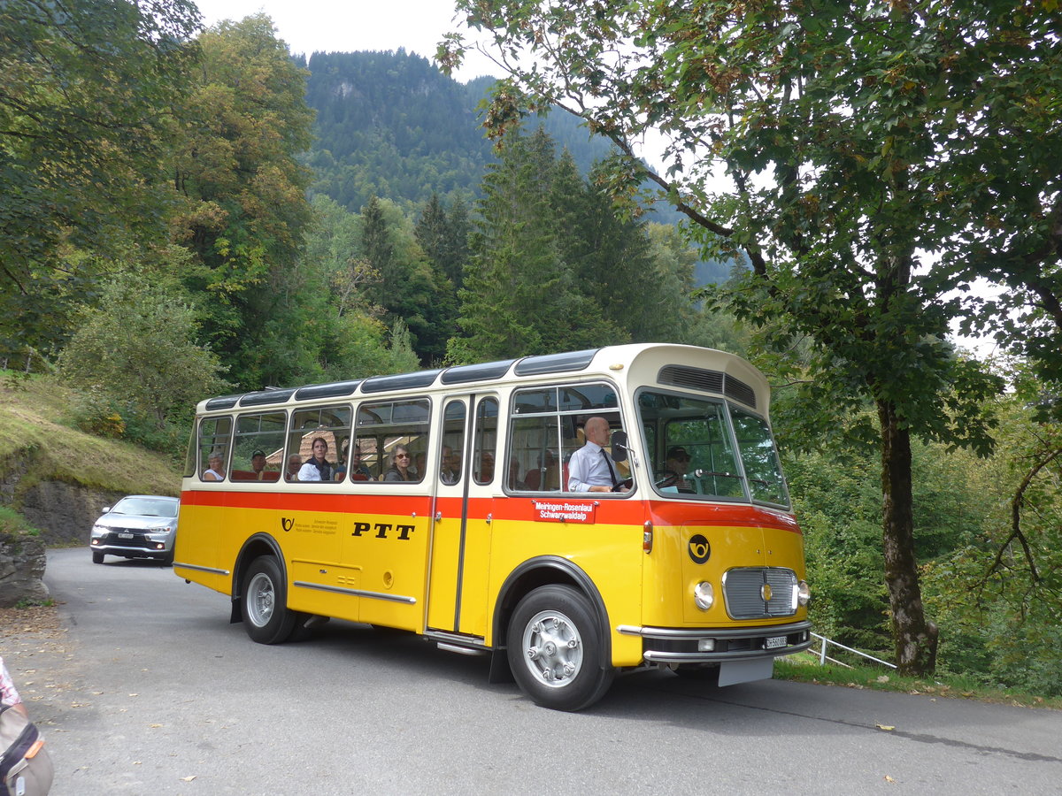 (197'751) - Frutig, Birmensdorf - ZH 560'883 - FBW/FHS (ex P 23'217) am 16. September 2018 in Meiringen, Zwirgi