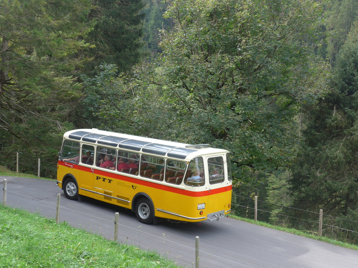 (197'762) - Frutig, Birmensdorf - ZH 560'883 - FBW/FHS (ex P 23'217) am 16. September 2018 in Meiringen, Scheideggstrasse