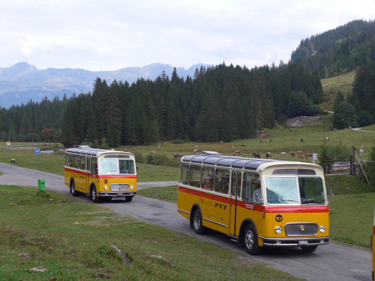 (197'789) - Frutig, Birmensdorf - ZH 560'883 - FBW/FHS (ex P 23'217) + Mller, Ennetmoos - NW 23'167 - FBW/Gangloff (ex Rentsch, Gunten; ex P 23'203; ex P 21'003) am 16. September 2018 in Gschwandtenmaad