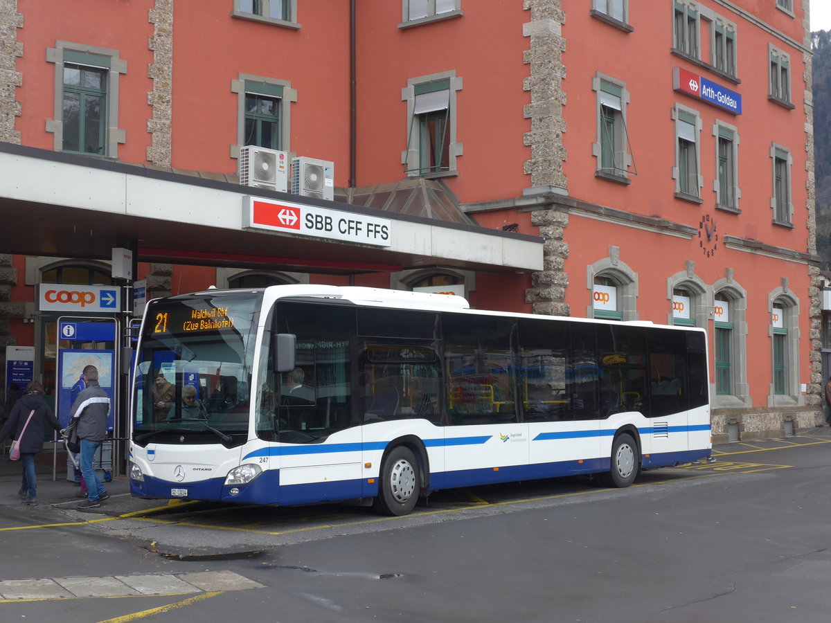 (199'819) - Auf der Maur, Steinen - Nr. 247/SZ 13'234 - Mercedes am 8. Dezember 2018 beim Bahnhof Arth-Goldau