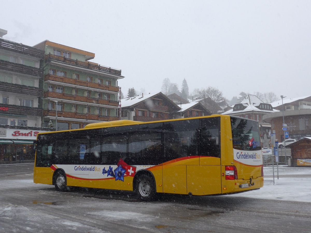 (199'887) - AVG Grindelwald - Nr. 14/BE 202'568 - MAN/Gppel am 10. Dezember 2018 beim Bahnhof Grindelwald