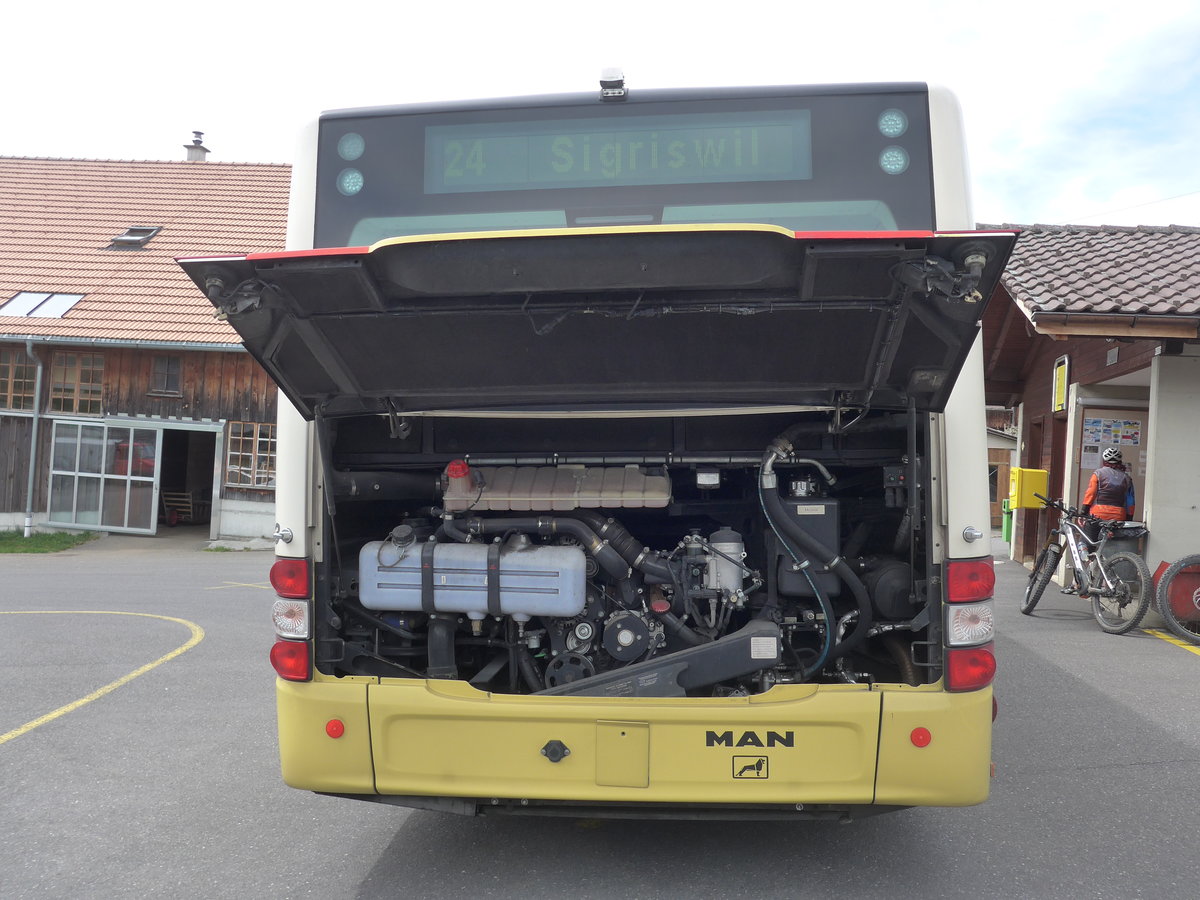 (203'860) - STI Thun - Nr. 133/BE 801'133 - MAN/Gppel am 21. April 2019 in Schwanden, Sge