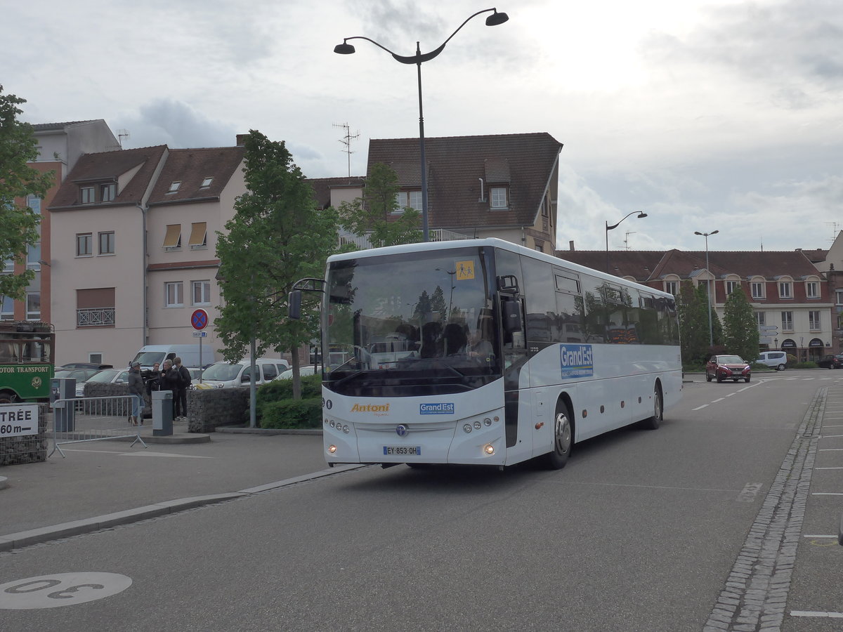 (204'101) - Antoni, Haguenau - EY 853 QH - Temsa am 26. April 2019 in Haguenau, Parkplatz