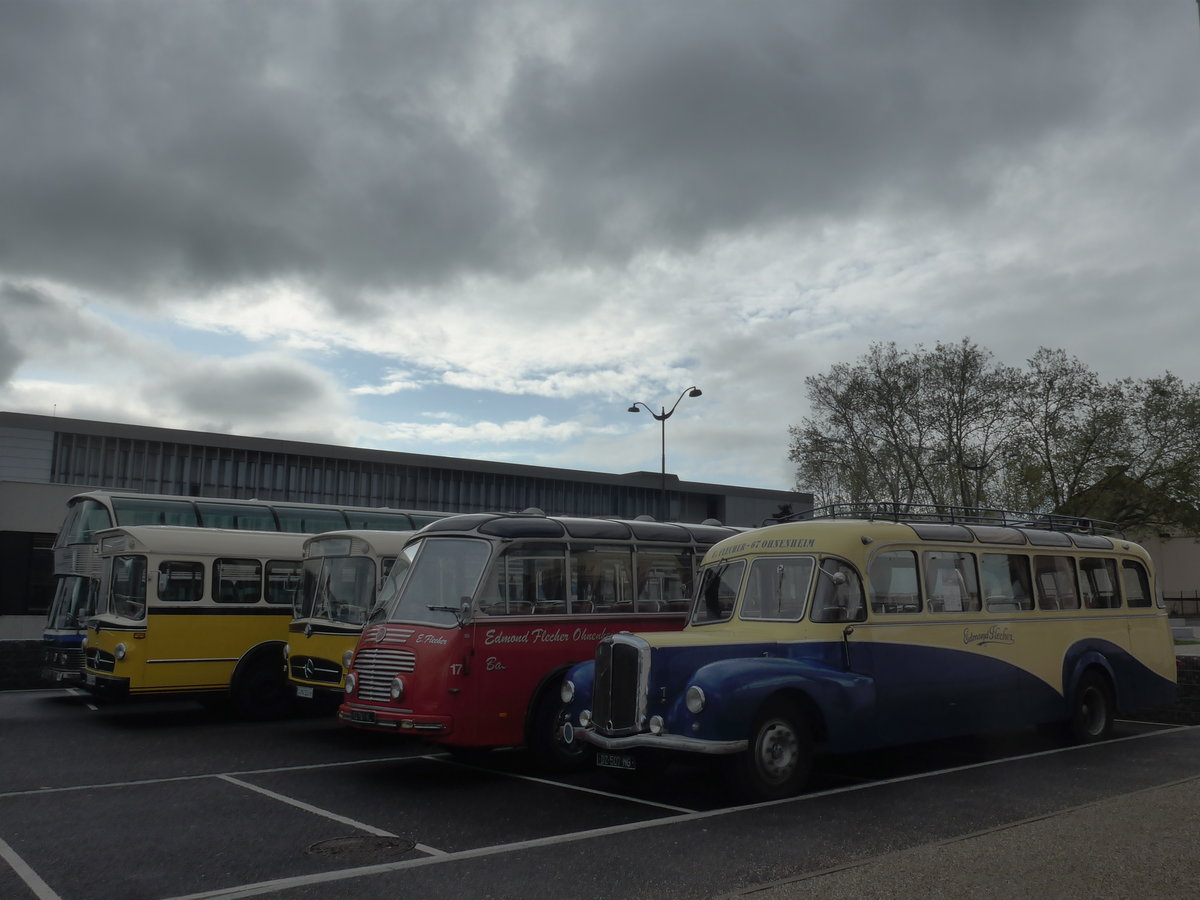 (204'495) - Flecher, Ohnenheim - DZ 507 MG - Saurer/Di Rosa am 28. April 2019 in Haguenau, Parkplatz