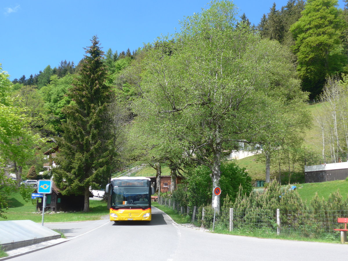 (205'655) - Bucheli, Kriens - Nr. 29/LU 15'085 - Mercedes am 30. Mai 2019 in Eigenthal, Talboden