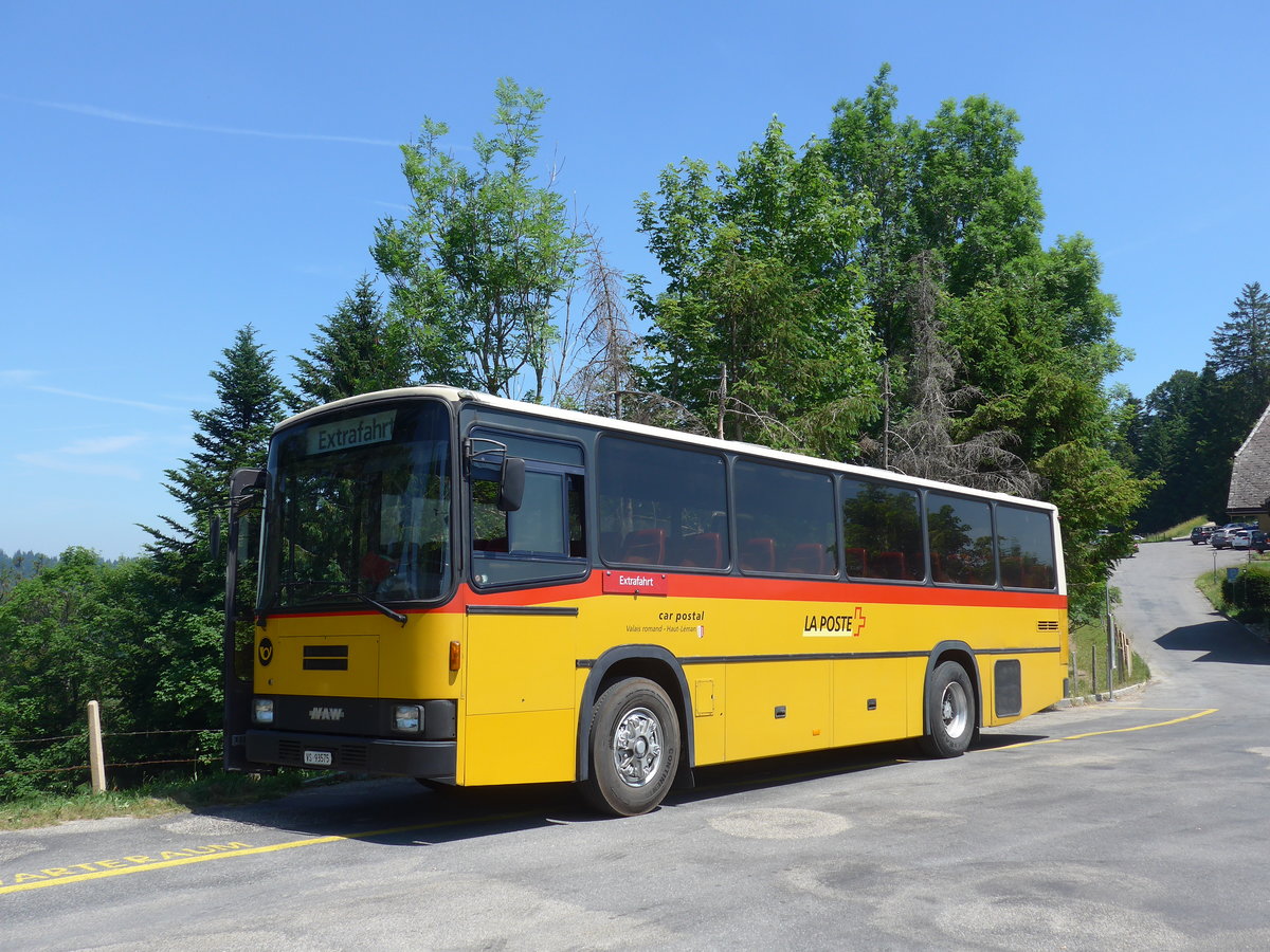 (206'883) - Oser, Brchen - VS 93'575 - NAW/Lauber (ex Epiney, Ayer) am 30. Juni 2019 auf der Lderenalp