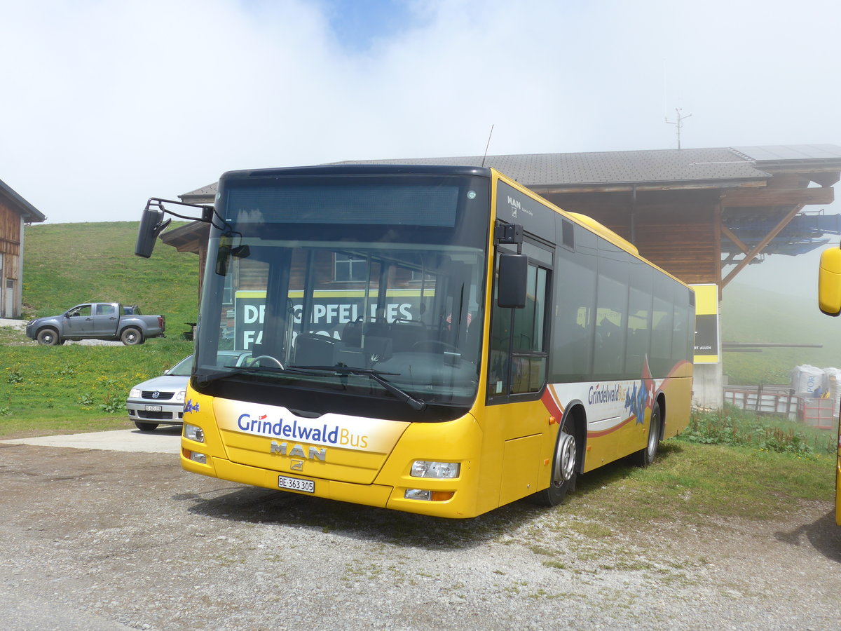 (207'701) - AVG Grindelwald - Nr. 19/BE 363'305 - MAN/Gppel am 9. Juli 2019 auf dem Mnnlichen