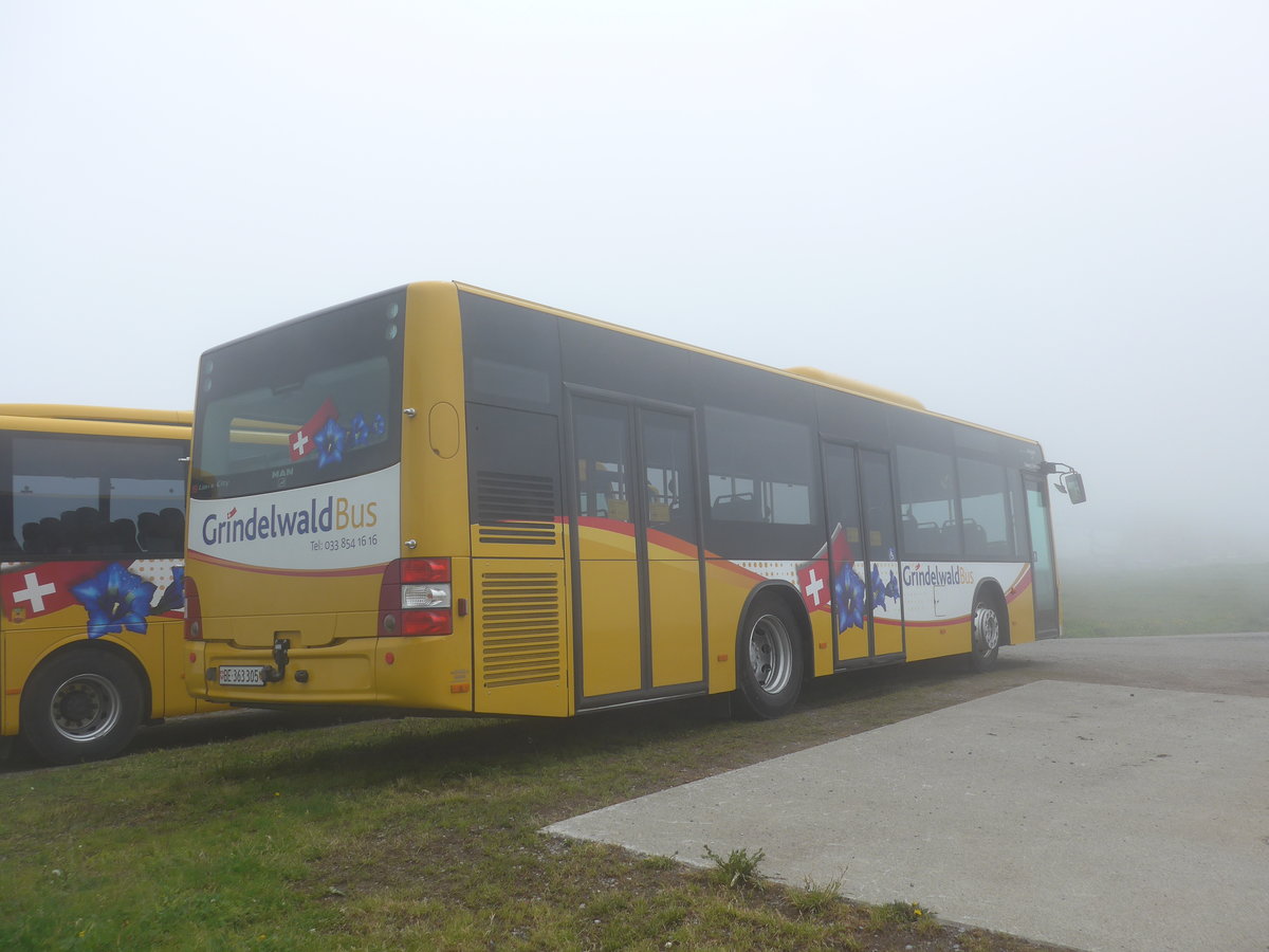 (207'722) - AVG Grindelwald - Nr. 19/BE 363'305 - MAN/Gppel am 9. Juli 2019 auf dem Mnnlichen 