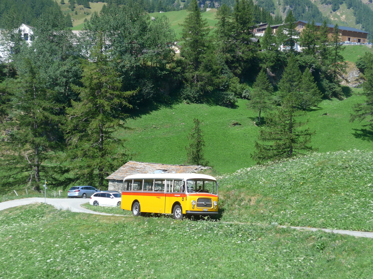 (208'340) - Zenklusen, Glis - VS 327'011 - Berna/BBO (ex Flori, Wohlen; ex Merzaghi, Maroggia) am 3. August 2019 bei Simplon Dorf