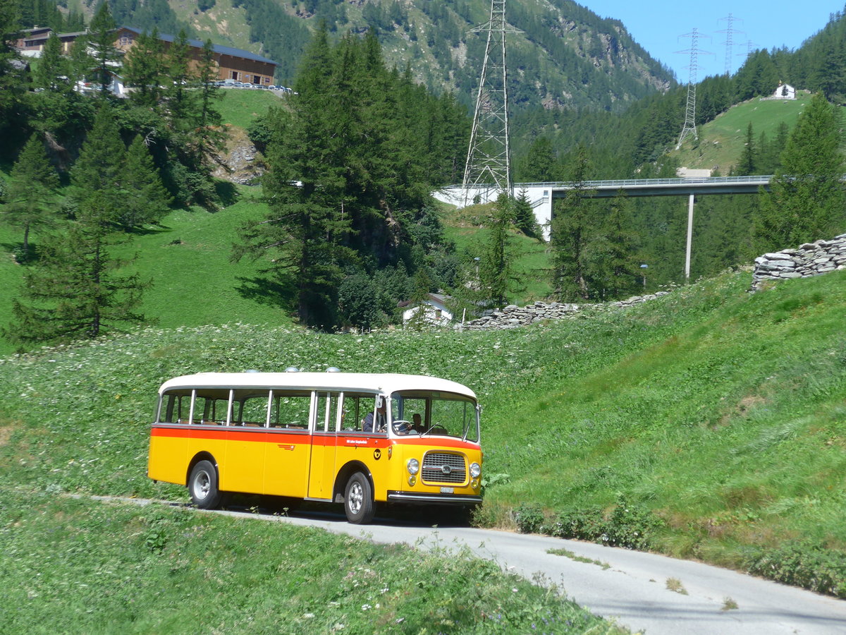 (208'341) - Zenklusen, Glis - VS 327'011 - Berna/BBO (ex Flori, Wohlen; ex Merzaghi, Maroggia) am 3. August 2019 bei Simplon Dorf