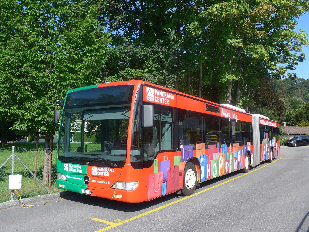 (209'078) - STI Thun - Nr. 137/BE 801'137 - Mercedes am 24. August 2019 bei der Schifflndte Thun