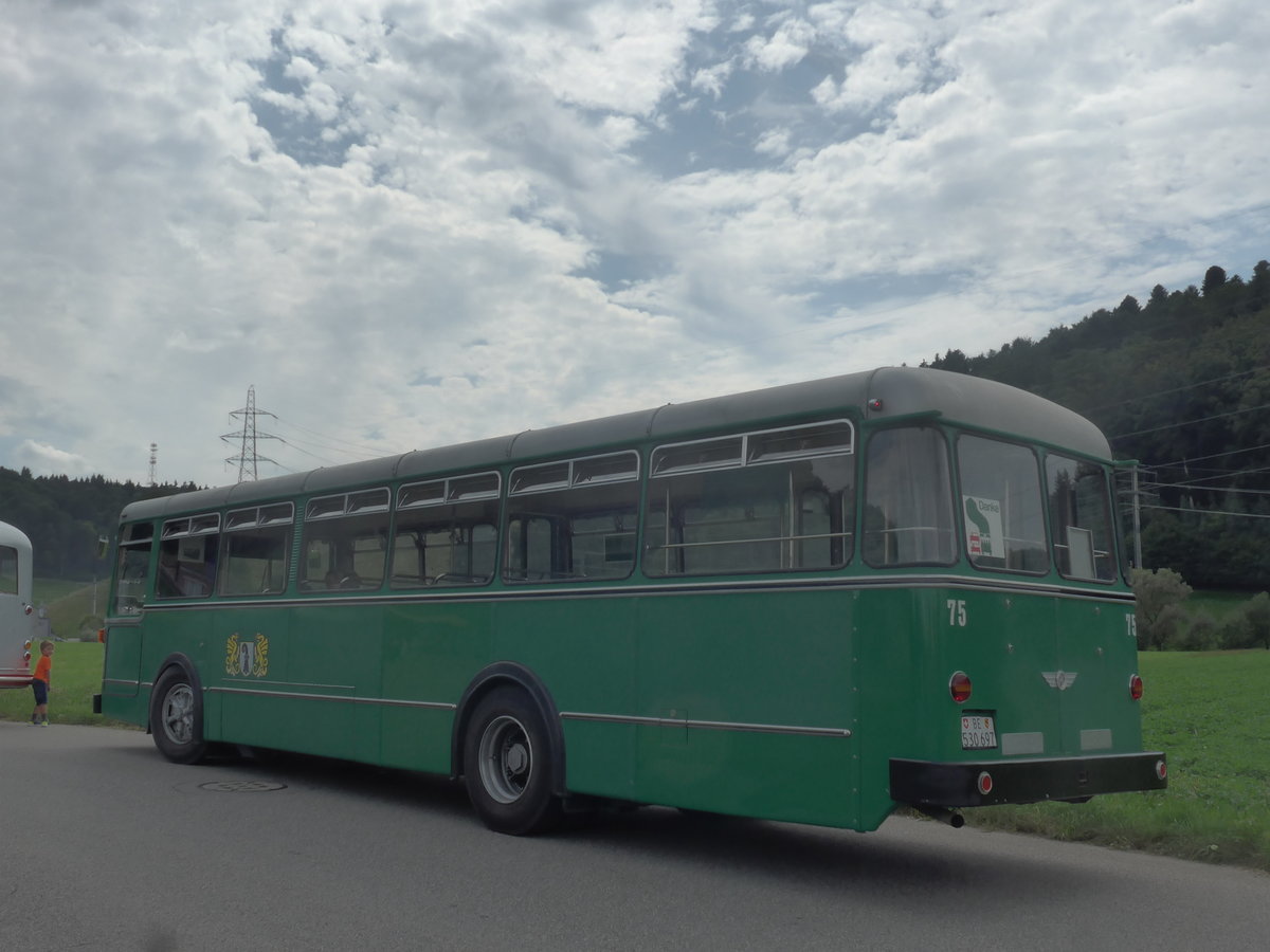 (209'250) - BVB Basel (RWB) - Nr. 75/BE 530'697 - FBW/FHS am 1. September 2019 in Wynigen, Landi