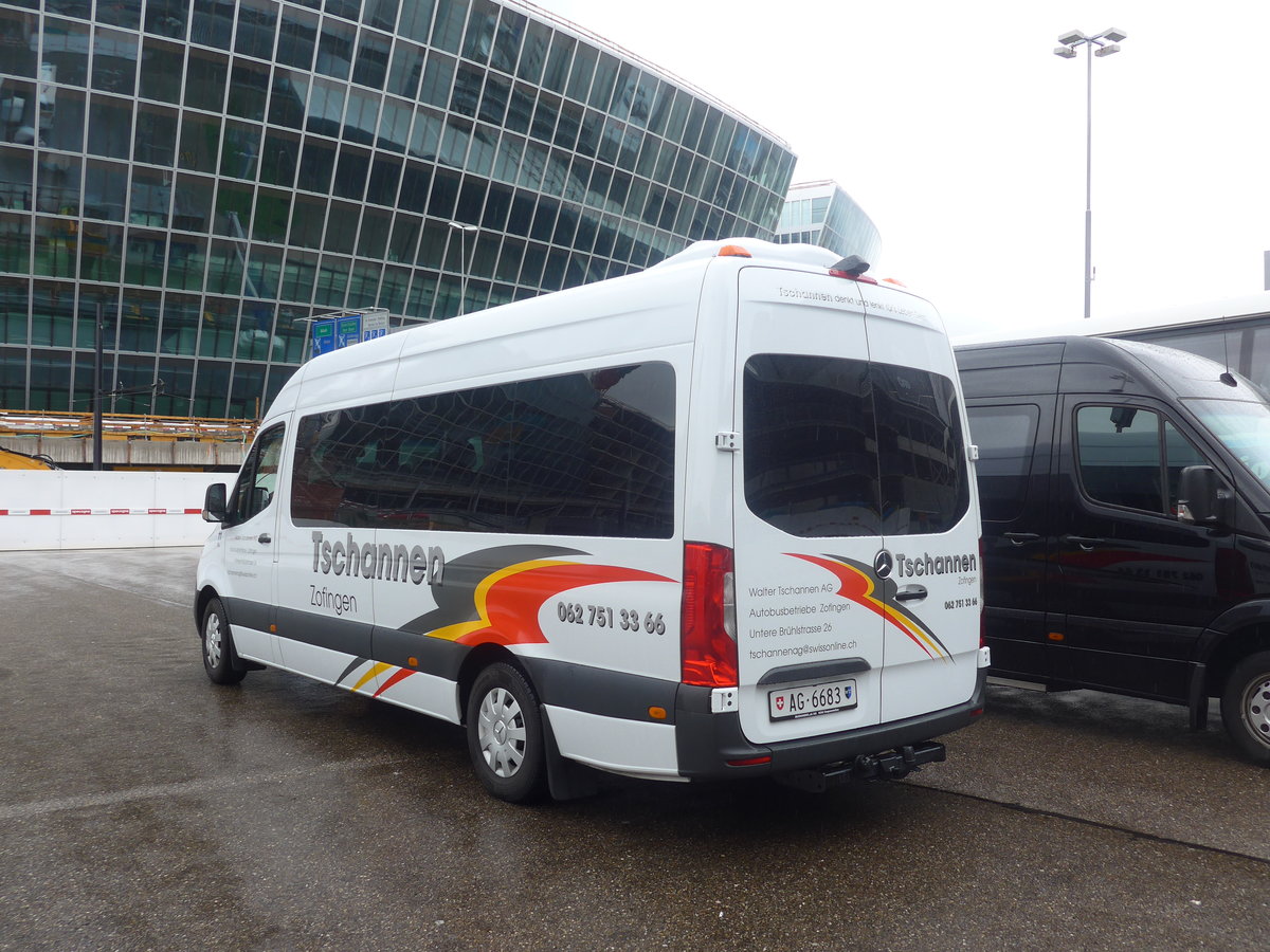 (209'413) - Tschannen, Zofingen - Nr. 11/AG 6683 - Mercedes am 8. September 2019 in Zrich, Flughafen