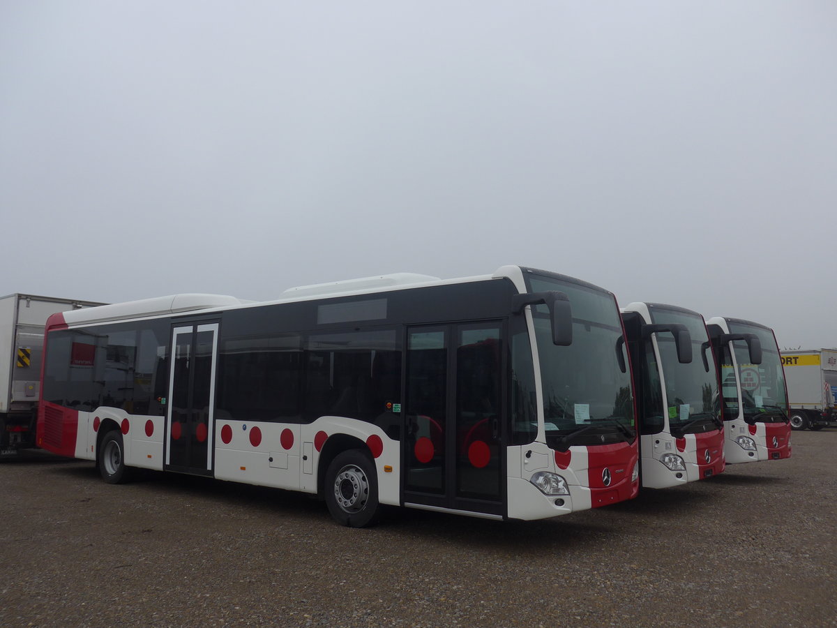 (209'920) - TPF Fribourg - Nr. 1041 - Mercedes am 6. Oktober 2019 in Wil, Larag