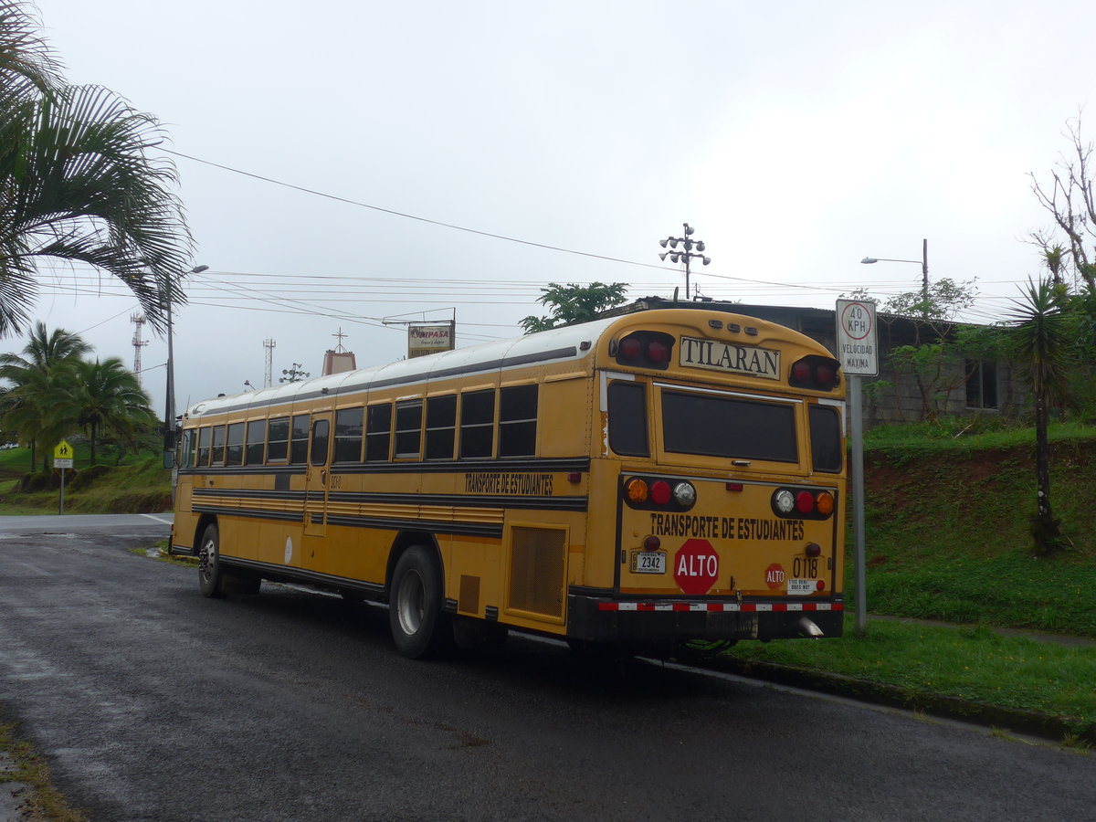 (211'315) - Transportes Tilarn, Tilarn - 2342 - Bluebird am 15. November 2019 in Nuevo Arenal