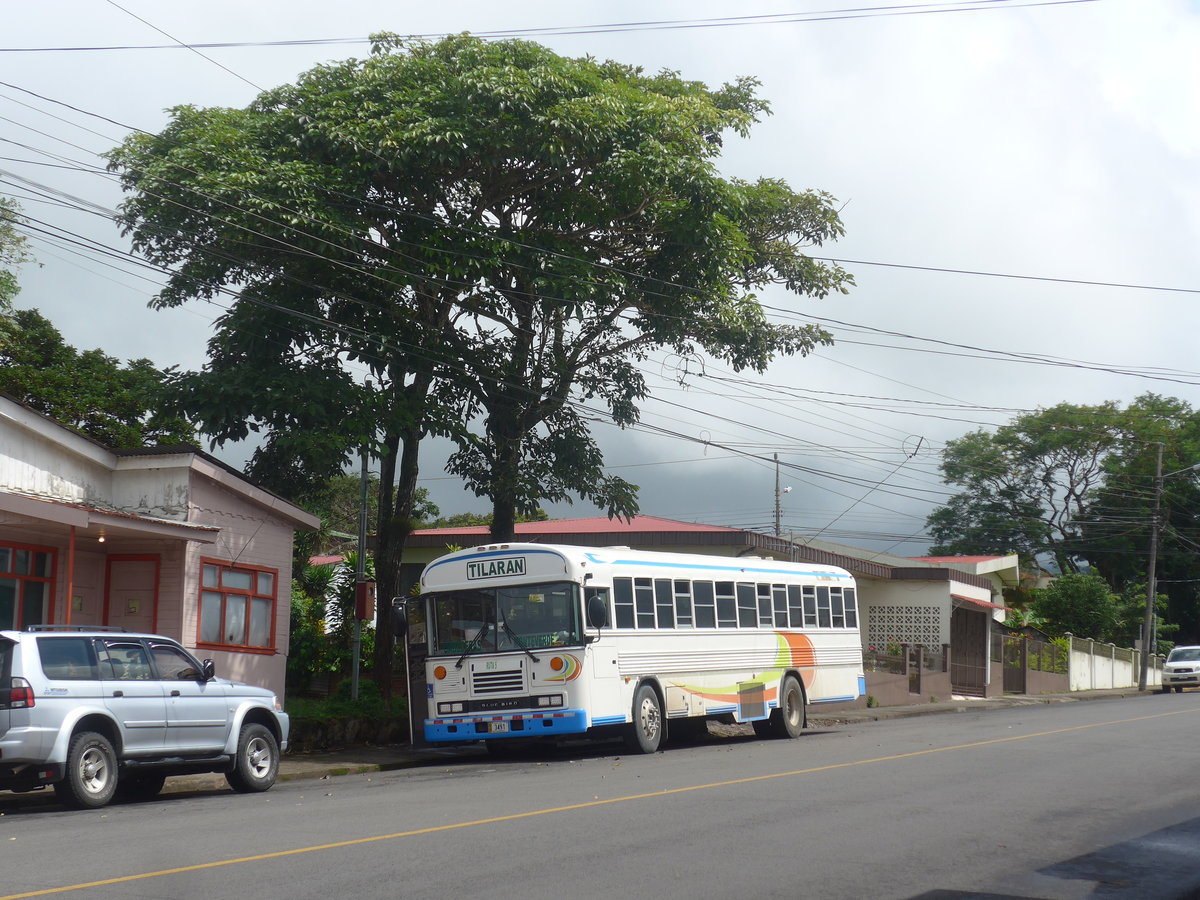 (211'328) - Transportes Tilarn, Tilarn - 3491 - Bluebird am 15. November 2019 in Tilarn