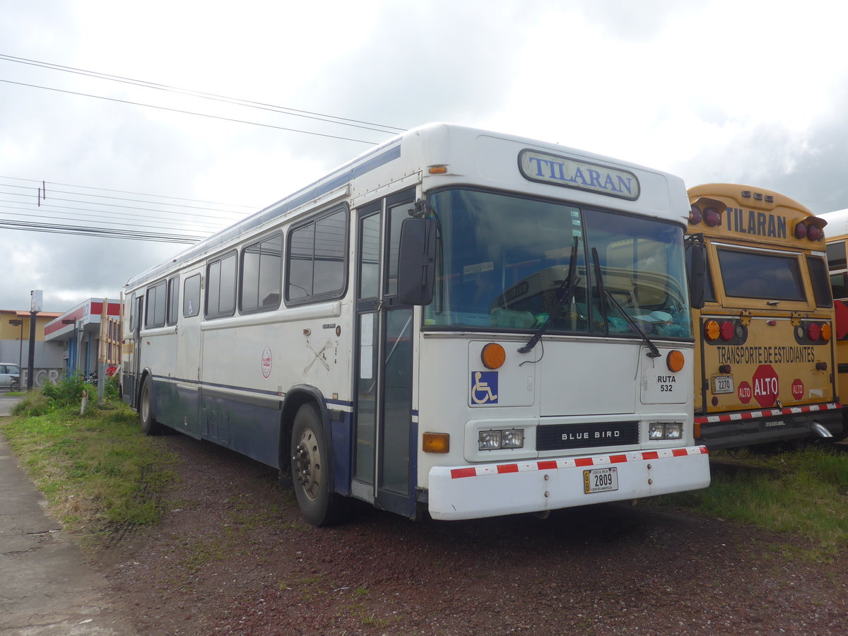 (211'844) - Transportes Tilarn, Tilarn - 2809 - Bluebird am 21. November 2019 in Tilarn, Freigelnde