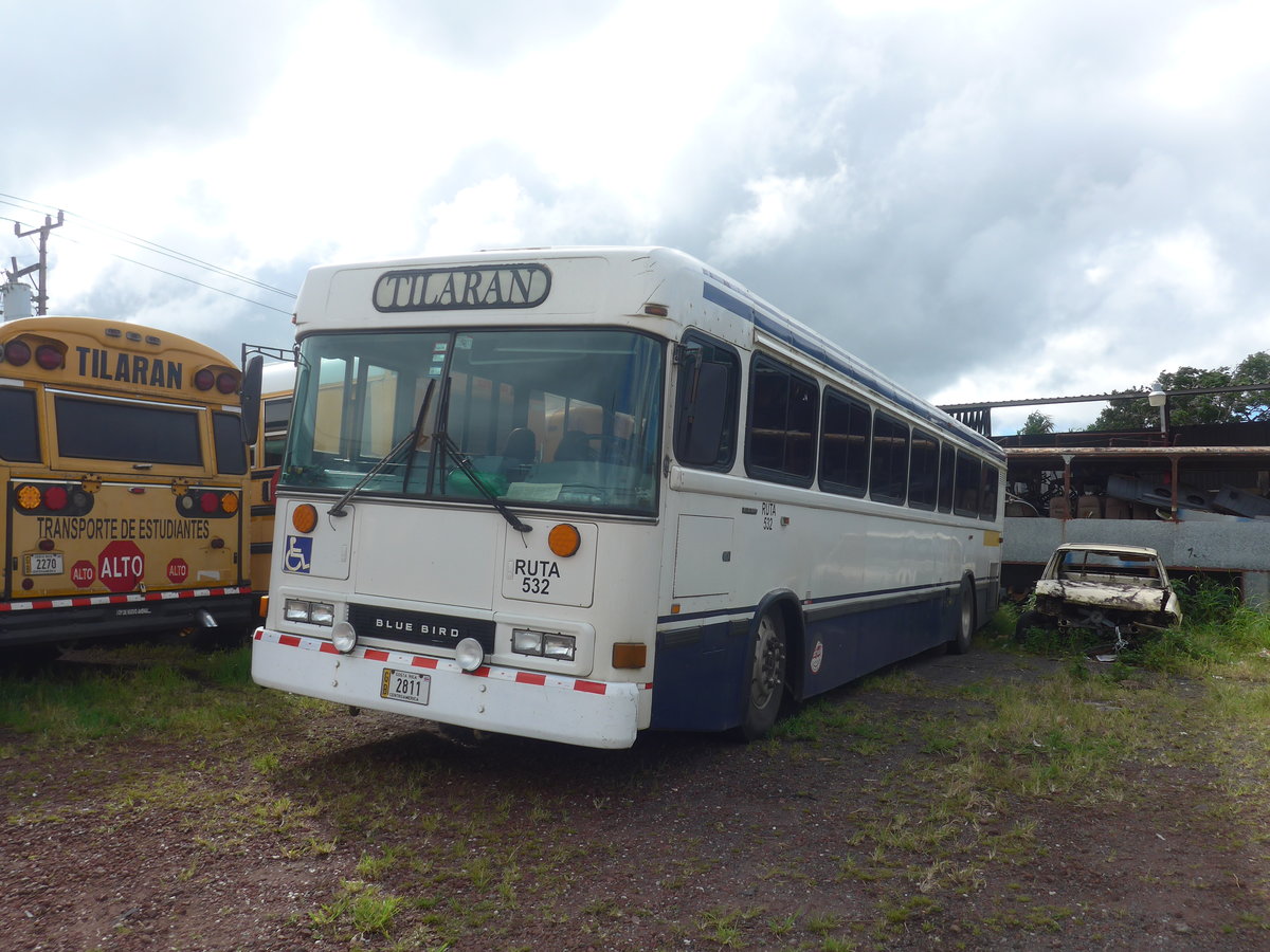 (211'845) - Transportes Tilarn, Tilarn - 2811 - Bluebird am 21. November 2019 in Tilarn, Freigelnde