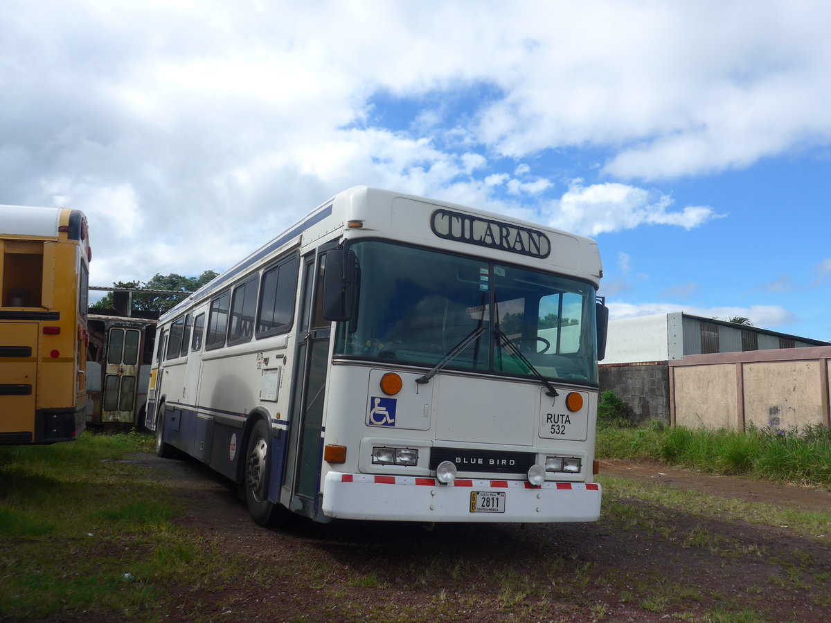 (211'846) - Transportes Tilarn, Tilarn - 2811 - Bluebird am 21. November 2019 in Tilarn, Freigelnde