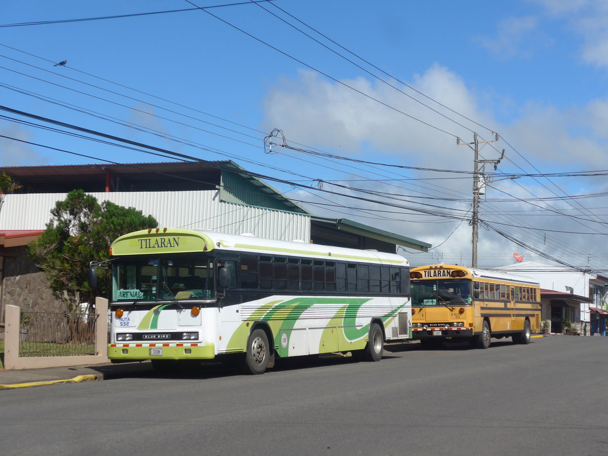 (212'471) - Transportes Tilarn, Tilarn - 3338 - Bluebird am 26. November 2019 in Tilarn