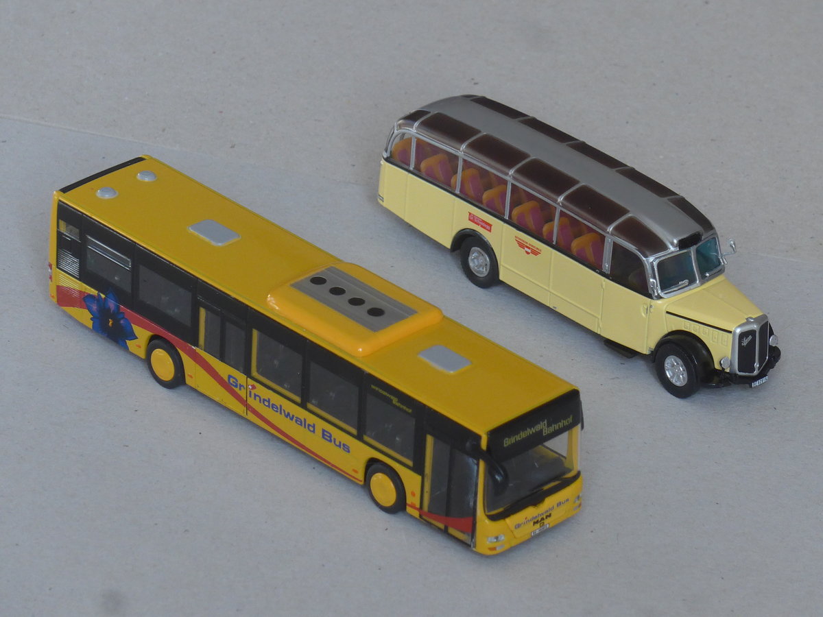 (216'403) - Grindelwaldbus, Grindelwald - BE 382'872 - MAN + AVG Grindelwald - BE 82'916 - Saurer/Gangloff (ex P 23'128; ex P 2195) am 23. April 2020 in Thun (Modelle)
