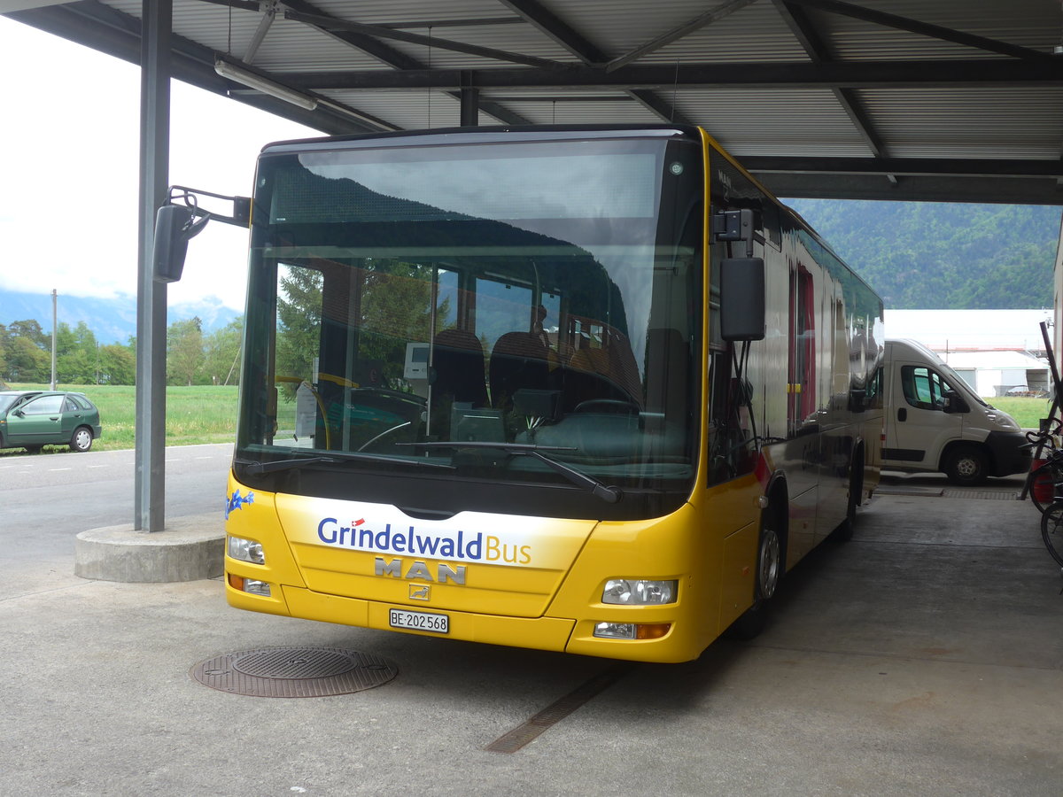 (216'776) - Grindelwaldbus, Grindelwald - Nr. 14/BE 202'568 - MAN/Gppel am 3. Mai 2020 in Interlaken, Postgarage