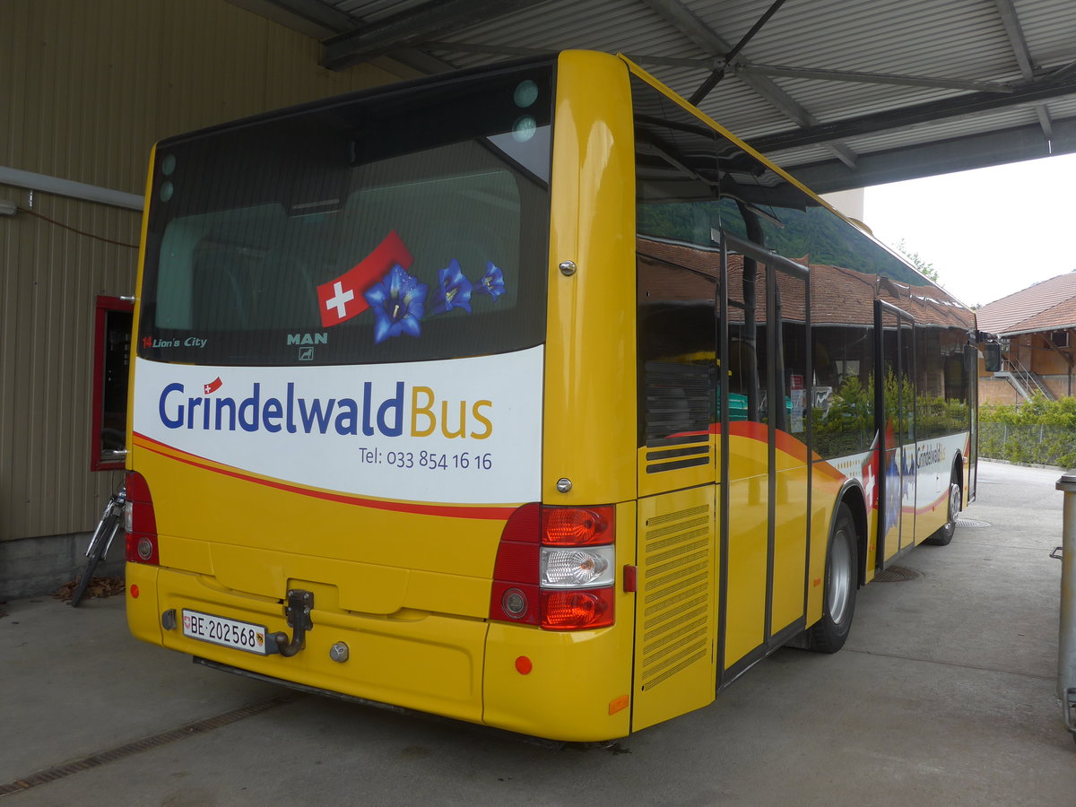 (216'777) - Grindelwaldbus, Grindelwald - Nr. 14/BE 202'568 - MAN/Gppel am 3. Mai 2020 in Interlaken, Postgarage