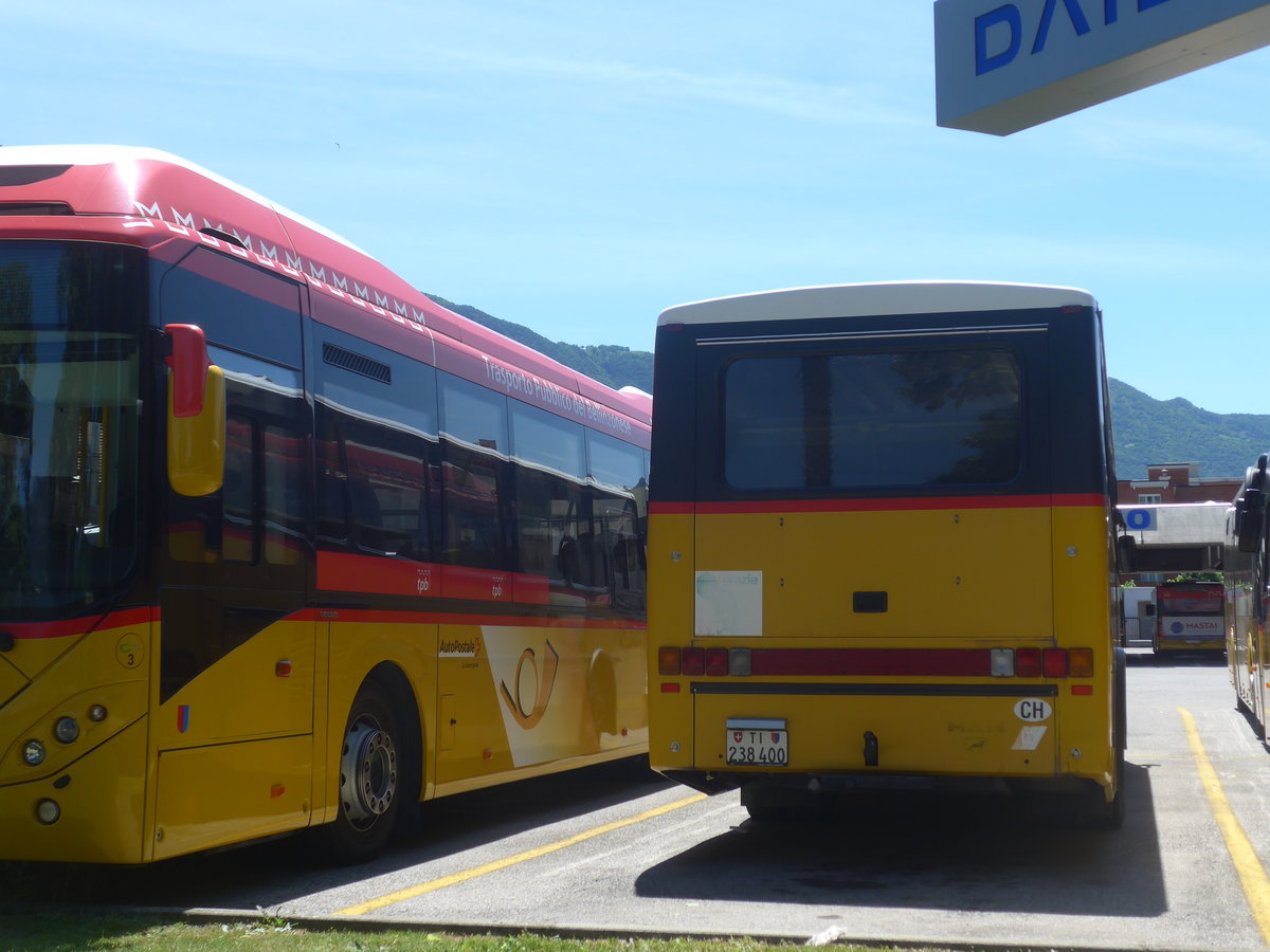 (217'317) - AutoPostale Ticino - TI 238'400 - MAN/Lauber (ex TI 215'334; ex P 23'021) am 24. Mai 2020 in Bellinzona, Garage