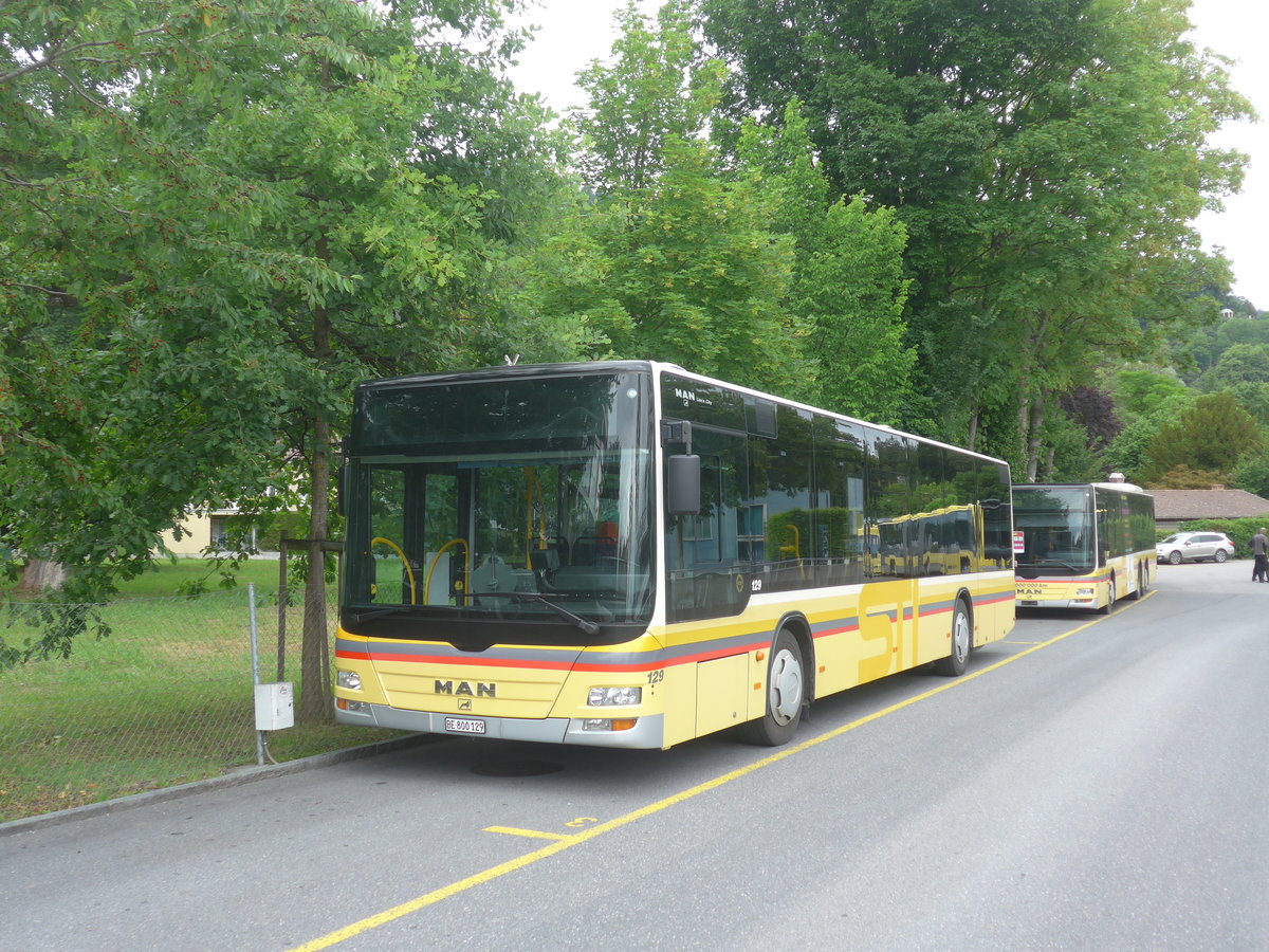 (218'035) - STI Thun - Nr. 129/BE 800'129 - MAN am 15. Juni 2020 bei der Schifflndte Thun