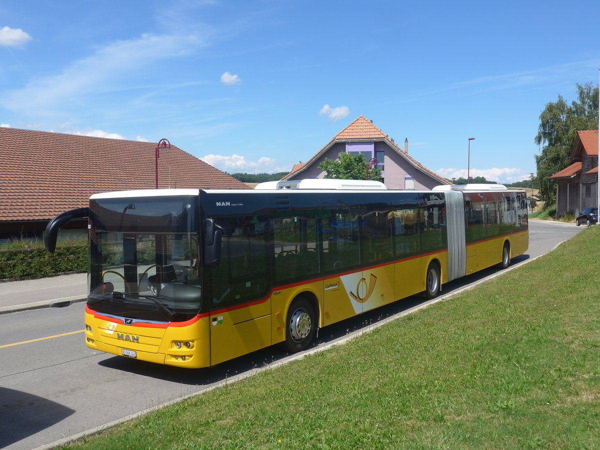 (219'028) - CarPostal Ouest - VD 566'342 - MAN am 25. Juli 2020 in Thierrens, Gare Routire