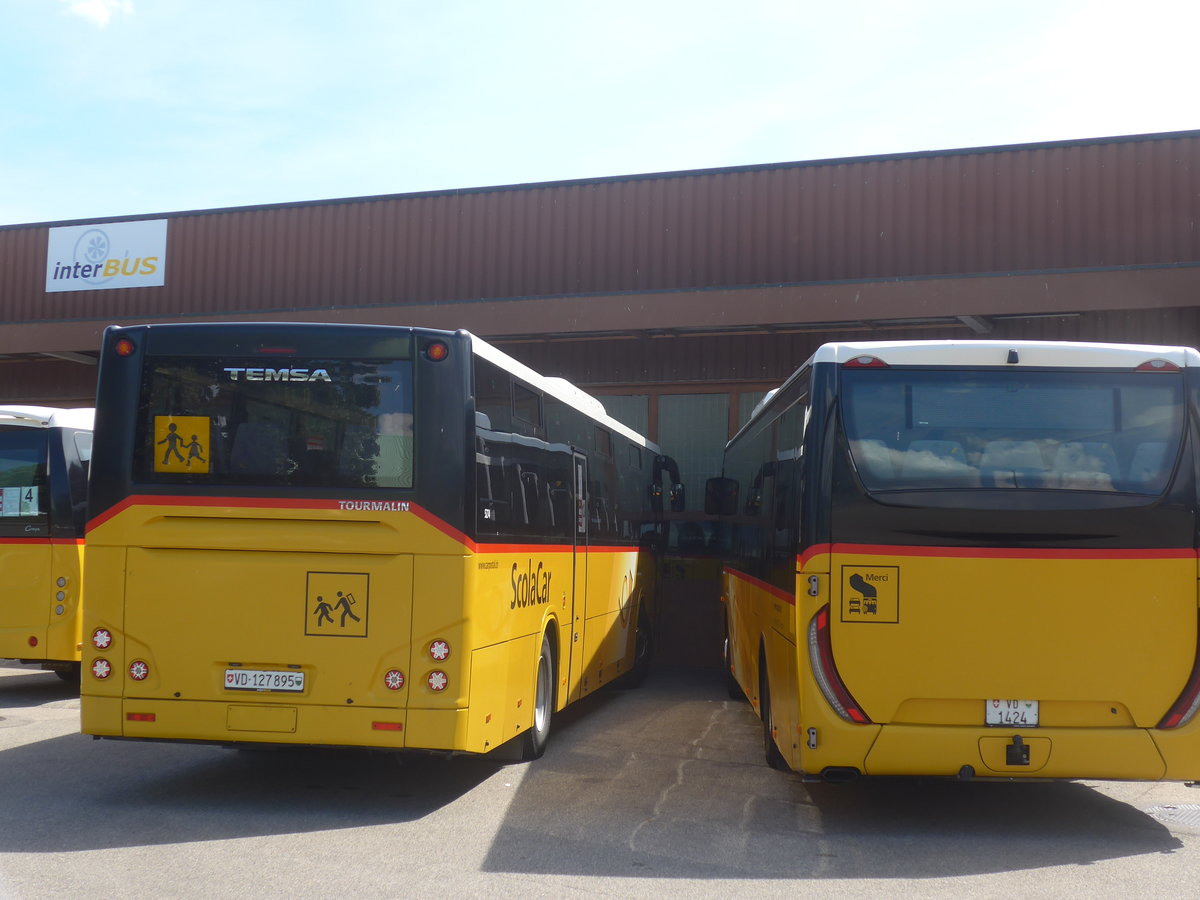 (219'035) - CarPostal Ouest - VD 127'895 - Temsa (ex ARCC Aubonne) am 25. Juli 2020 in Yverdon, Garage