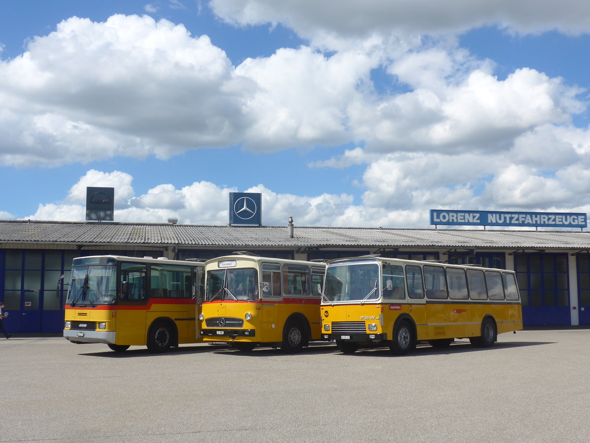 (220'125) - Wittig, Nrensdorf - ZH 205'322 - FBW/FHS (ex Tiemann, Oetwil Nr. 6; ex Btra, Birr Nr. 28; ex Autocca, Visp; ex P 24'186) am 23. August 2020 in Lyssach, Lorenz