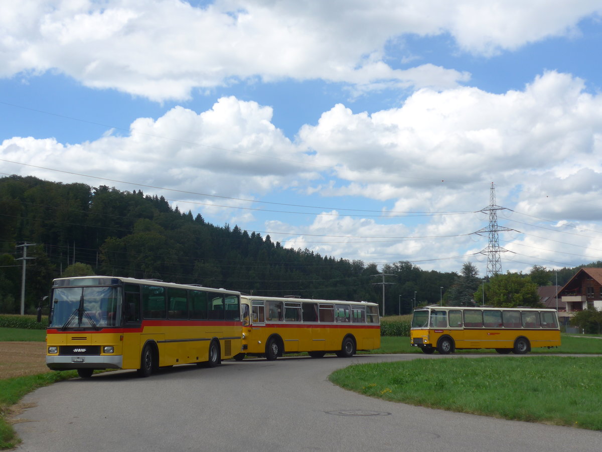 (220'144) - Widmer, Bern - BE 842'322 - NAW/Hess (ex Lombardi, Winterthur; ex Wohlgemuth, Hochwald) am 23. August 2020 in Wynigen, Landi