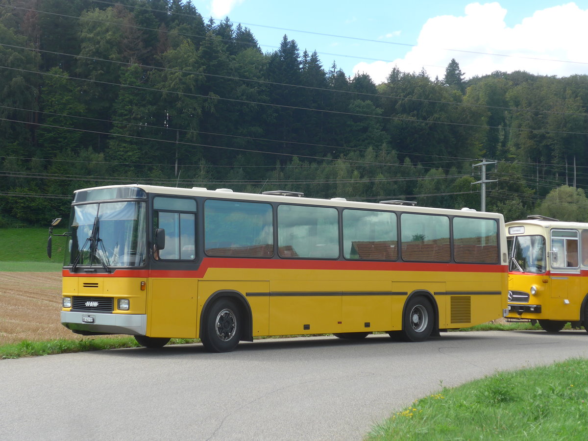 (220'145) - Widmer, Bern - BE 842'322 - NAW/Hess (ex Lombardi, Winterthur; ex Wohlgemuth, Hochwald) am 23. August 2020 in Wynigen, Landi