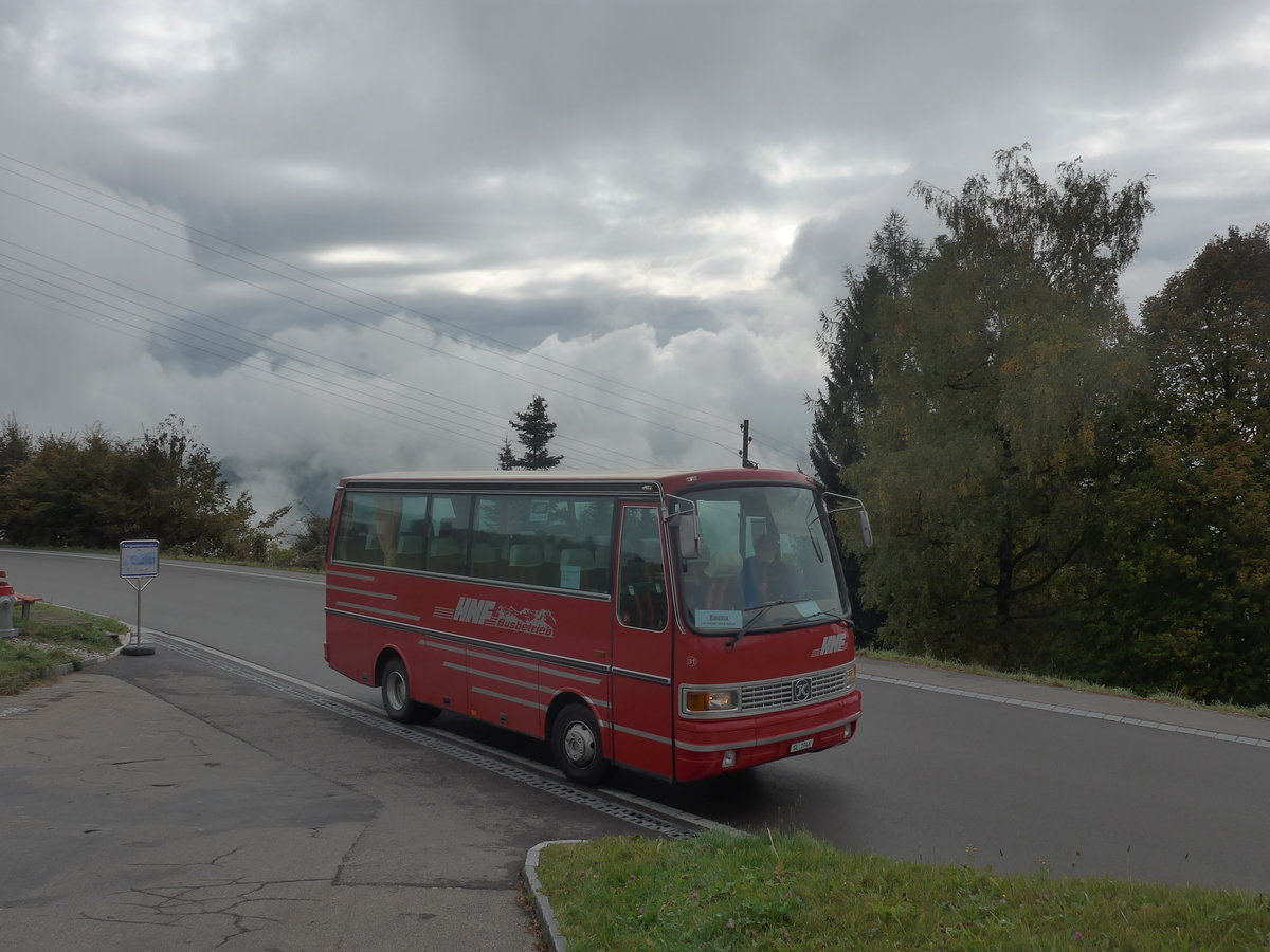 (221'808) - Biegger, Uster - Nr. 31/GL 1946 - Setra (ex AFA Adelboden Nr. 31; ex AFA Adelboden Nr. 10; ex Frhlich, Zrich) am 12. Oktober 2020 in Ghch, Rest. Berg