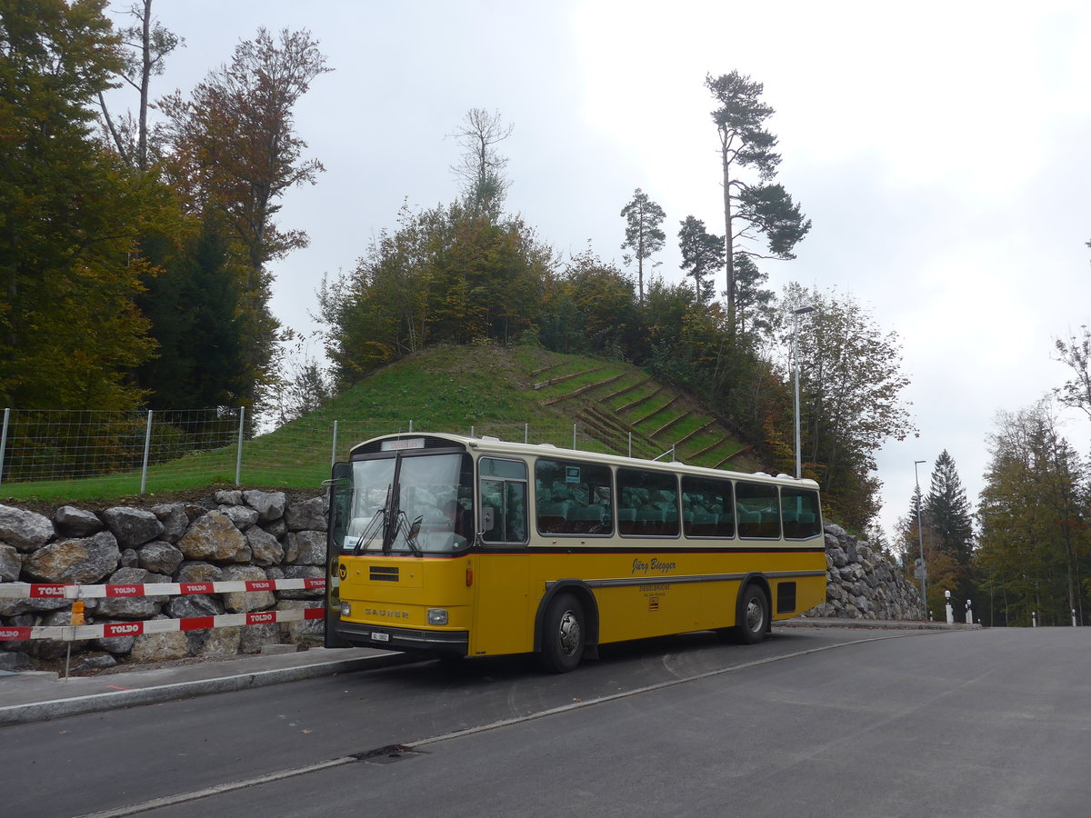 (221'972) - Biegger, Uster - Nr. 9/GL 1802 - Saurer/R&J (ex P 24'366) am 18. Oktober 2020 in Mhlrti, Hulftegg