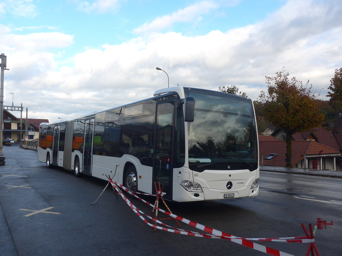 (222'573) - Intertours, Domdidier - Nr. 202/FR 300'477 - Mercedes am 24. Oktober 2020 beim Bahnhof Spiez