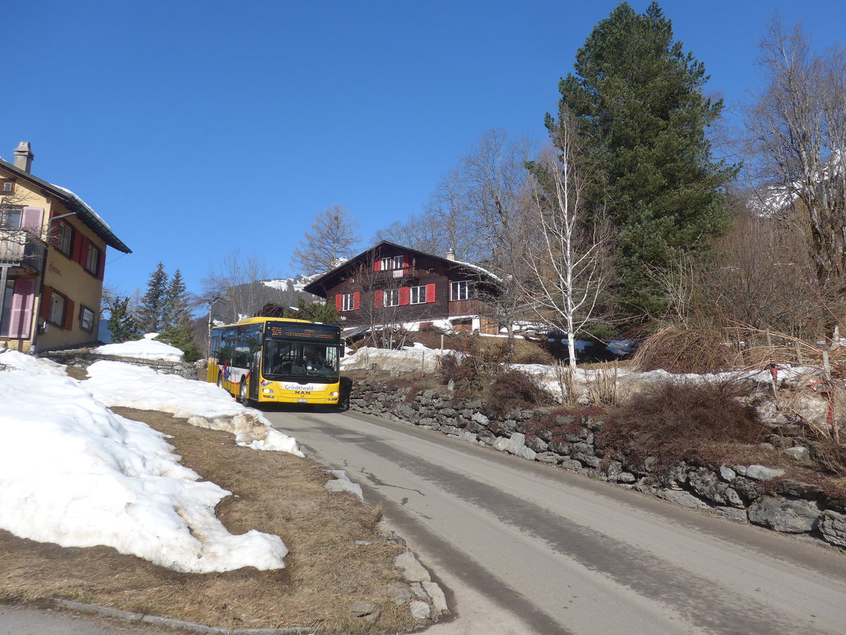 (223'834) - Grindelwaldbus, Grundelwald - Nr. 16/BE 28'821 - MAN am 28. Februar 2021 in Grindelwald, Stutz