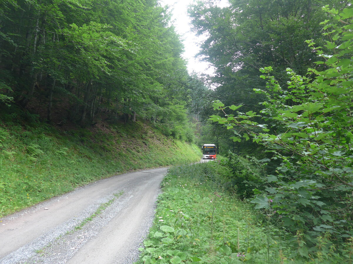 (226'783) - AS Engi - Nr. 7/GL 7707 - MAN am 25. Juli 2021 in Schwanden, Notumfahrung