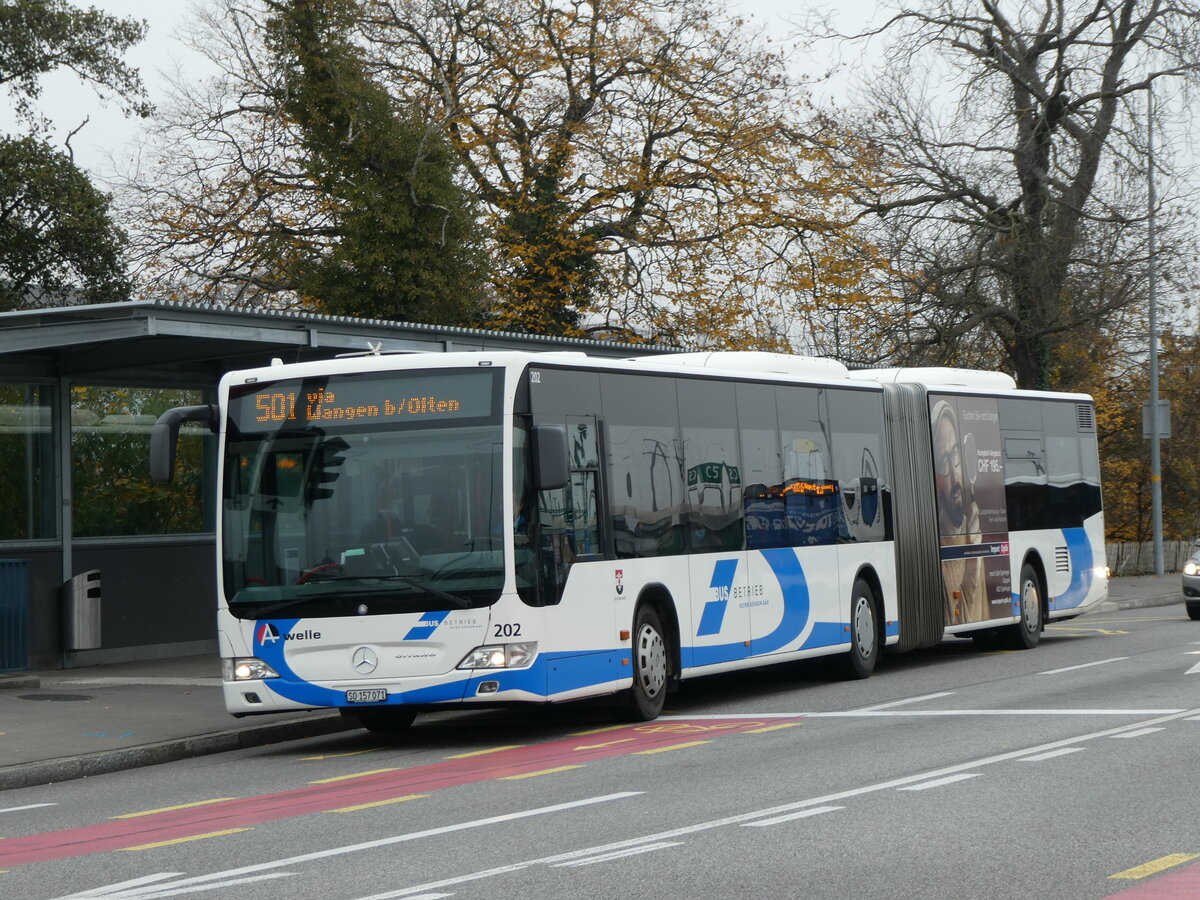 (230'472) - BOGG Wangen b.O. - Nr. 202/SO 157'071 - Mercedes am 11. November 2021 beim Bahnhof Olten